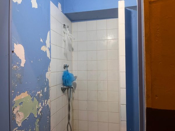 WhatsApp Image 2026-02-04 at 11.54.49 (8)